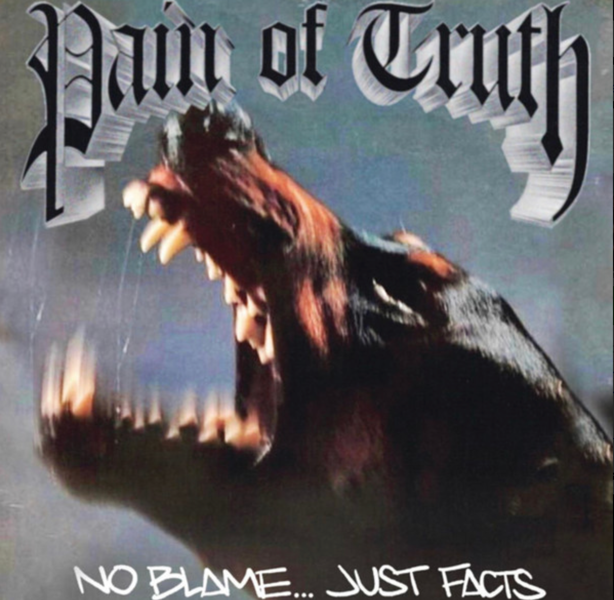 Pain Of Truth - No Blame...Just Facts