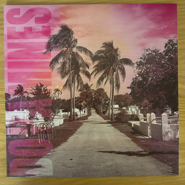 The Dopamines - 80/20