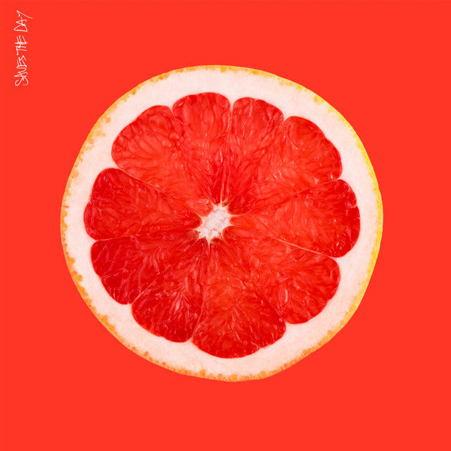 Saves The Day - S/T